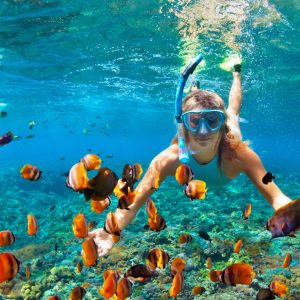 Caribbean Snorkel Tour in Grand Turk’s Coral Reef