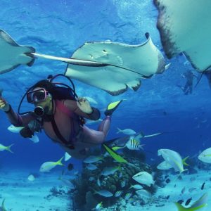 Gibbs Cay Stingray and Snorkel Adventure